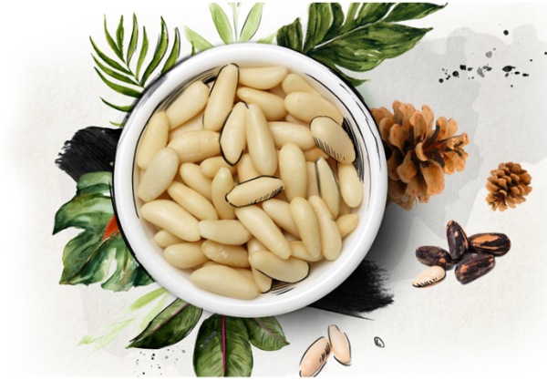 Discover The Health Benefits Of Pine Nuts! – NUTFRUIT – Plant-Based Power